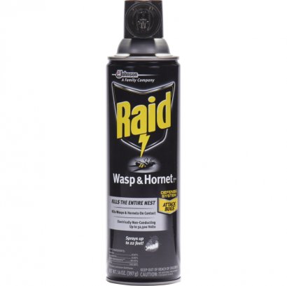 Raid Wasp/Hornet Killer Spray 668006CT