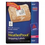 Avery WeatherProof Mailing Labels w/TrueBlock, Laser, White, 3 1/3 x 4, 300/Pack AVE5524