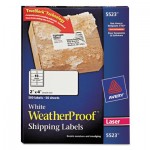 Avery WeatherProof Mailing Labels w/TrueBlock, Laser, White, 2 x 4, 500/Pack AVE5523