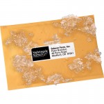 Avery WeatherProof Mailing Labels with TrueBlock Technology 95522