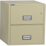 Phoenix World Class Vertical File - 2-Drawer LTR2W25P